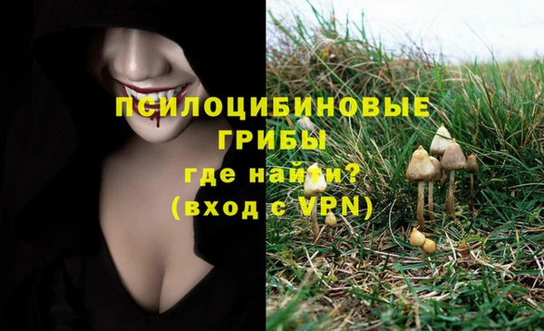 марки lsd Аркадак