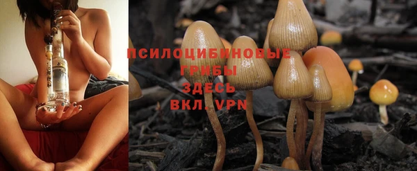 марки lsd Аркадак