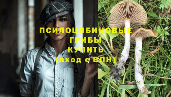 трава Армянск