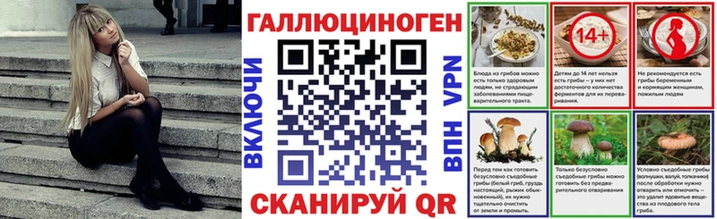Купить  Новодвинск  Псилоцибиновые грибы Psilocybe 