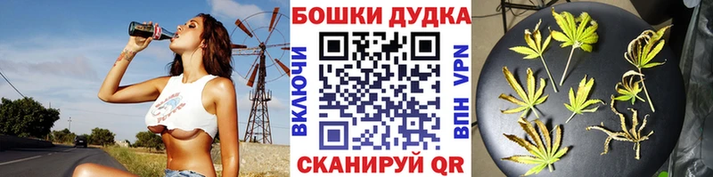 Купить где  Новодвинск  Бошки марихуана планчик 